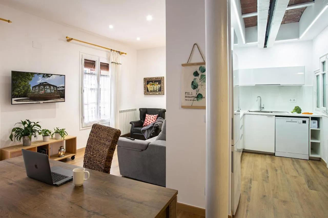 Apartment Can Prat Loft Ripoll