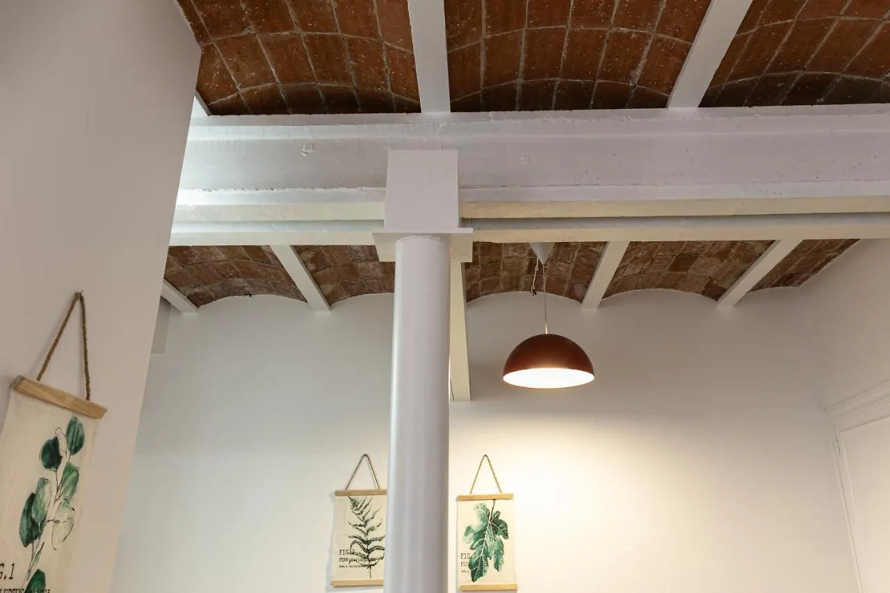 Can Prat Loft Ripoll Apartment